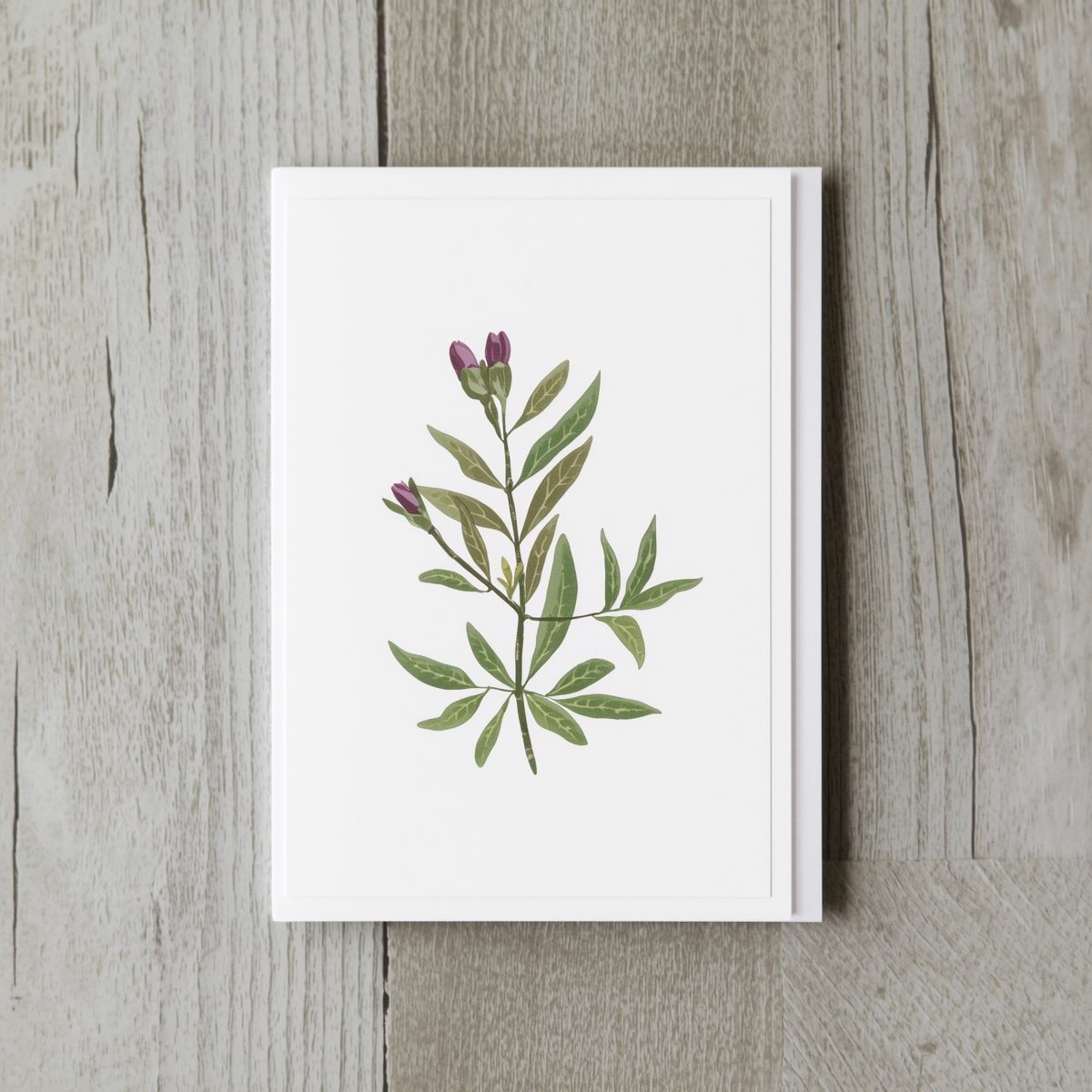 Sustainable handmade cards showcasing eco-friendly materials and practices